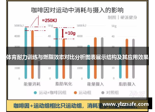 体育耐力训练与燃脂效率对比分析图表展示结构及其应用效果