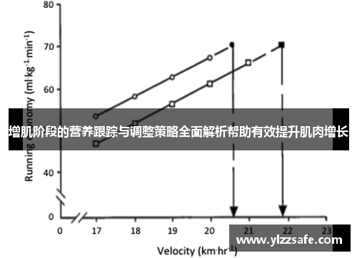 增肌阶段的营养跟踪与调整策略全面解析帮助有效提升肌肉增长
