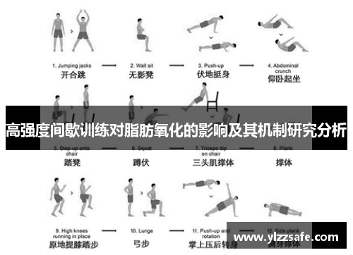 高强度间歇训练对脂肪氧化的影响及其机制研究分析